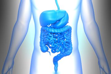 Lékař gastroenterolog