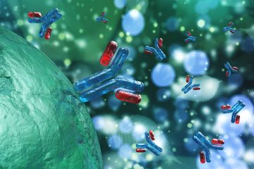 Lékař Alergolog, Imunolog