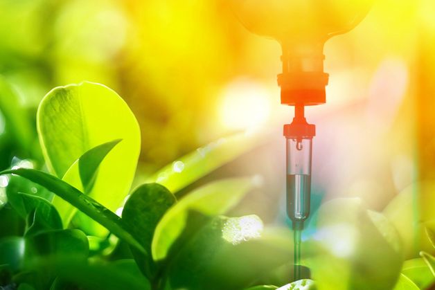 Chybí vašemu tělu vitamíny? Dodáme vám je rychlostí blesku